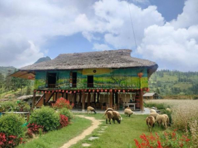 Kale Farm Bắc Hà